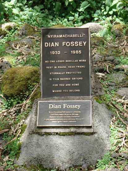 Dian Fossey Tombs Near Karisoke Research center